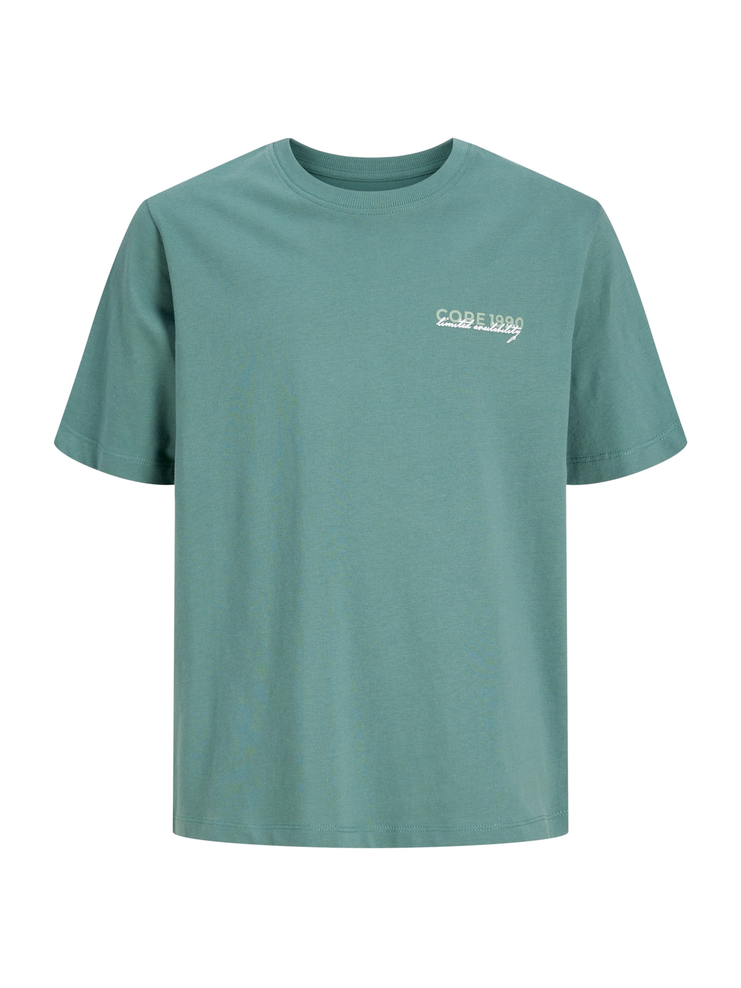 Jack & Jones Junior Shirt 'JCOETERNA' in Groen: voorkant