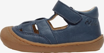 NATURINO Open schoenen 'WAD' in Blauw: voorkant
