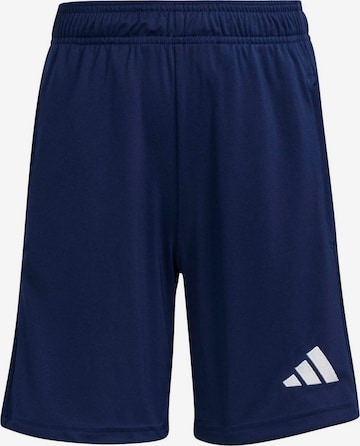 mėlyna ADIDAS PERFORMANCE Standartinis Sportinės kelnės 'ENT26 TR SHOY': priekis