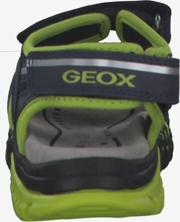 GEOX Open schoenen 'Dynomix' in Blauw