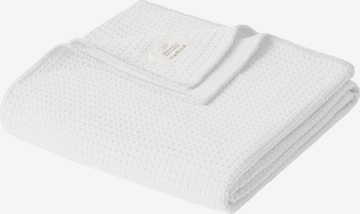 Cradle Studio Blankets in White