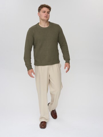 Dxnmxrk Sweater 'DXFae' in Green