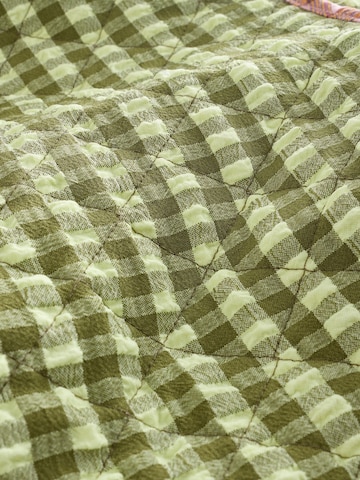 Next Tussenjas in Groen