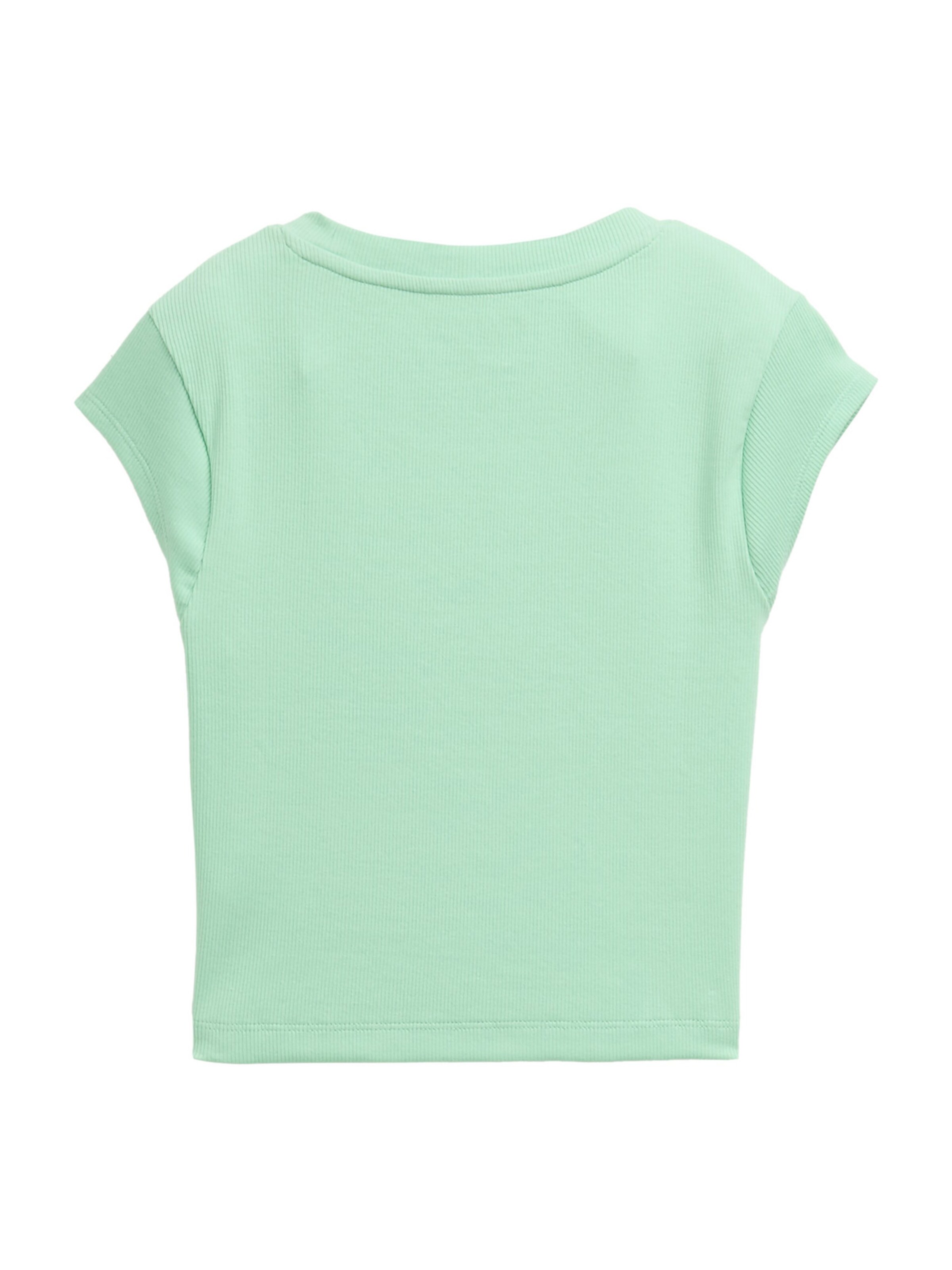 TOM TAILOR Shirt in Green