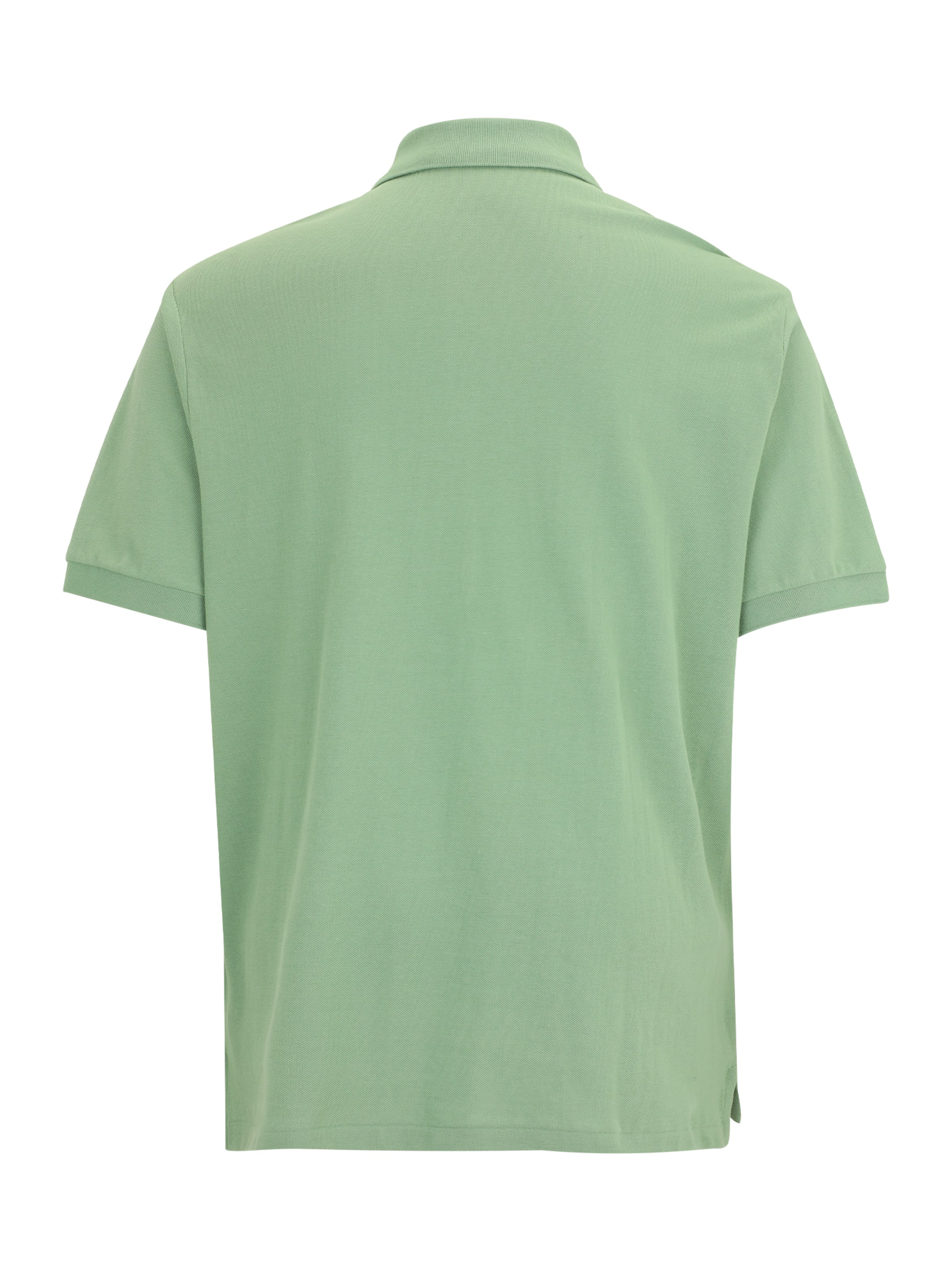 Polo Ralph Lauren Big & Tall Футболка в Зеленый