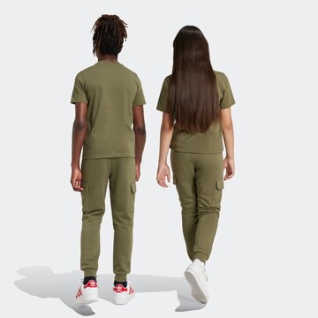 ADIDAS ORIGINALS Tapered Hose in Grün