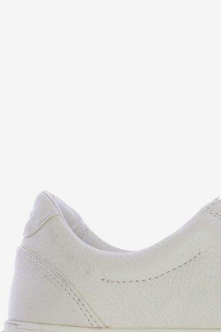 UGG Sneakers & Trainers in 41 in White
