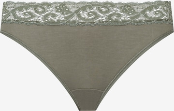 Hanro Panty 'Moments' in Green: front