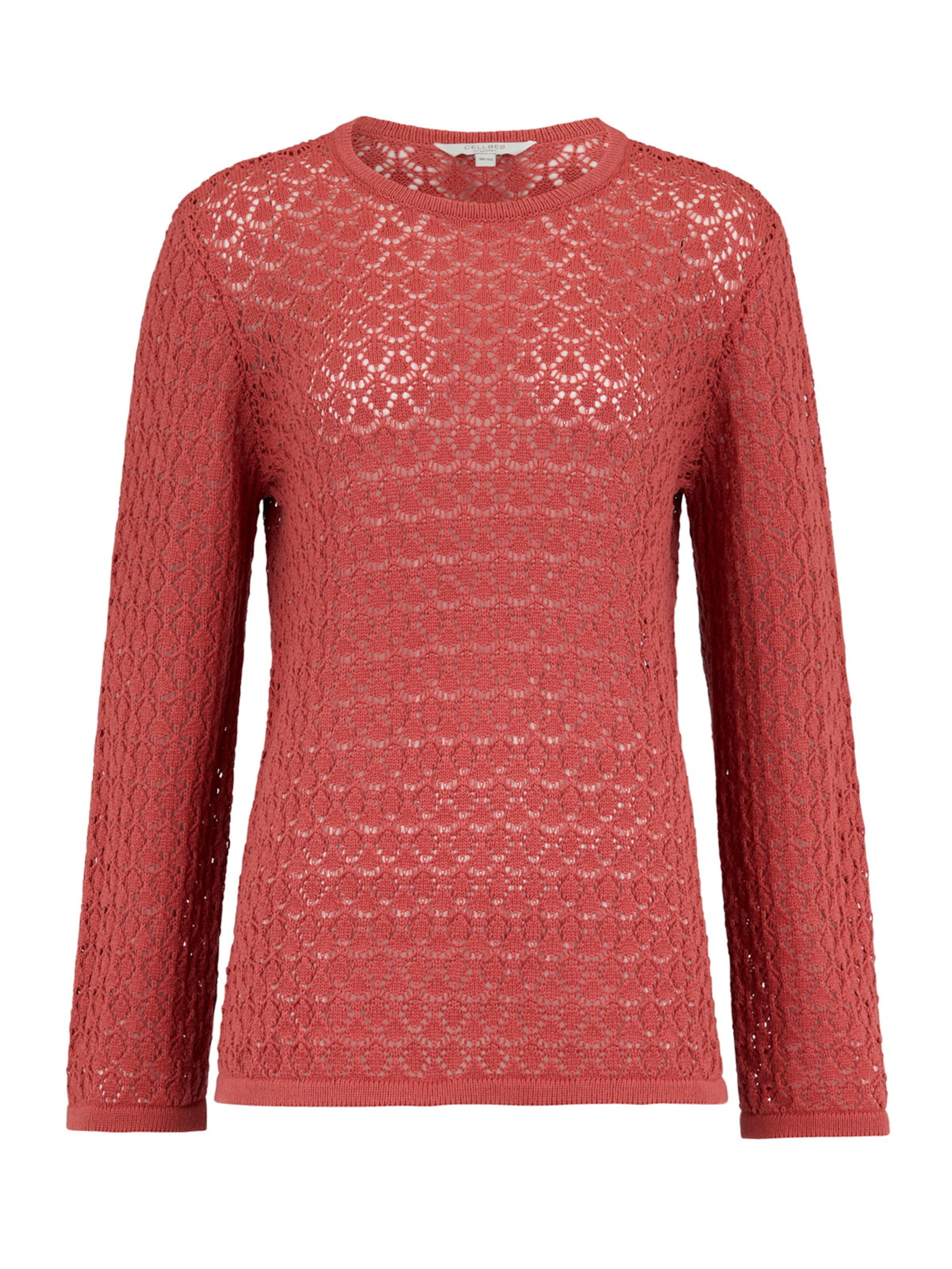 Cellbes of Sweden Sweater in Brown: front