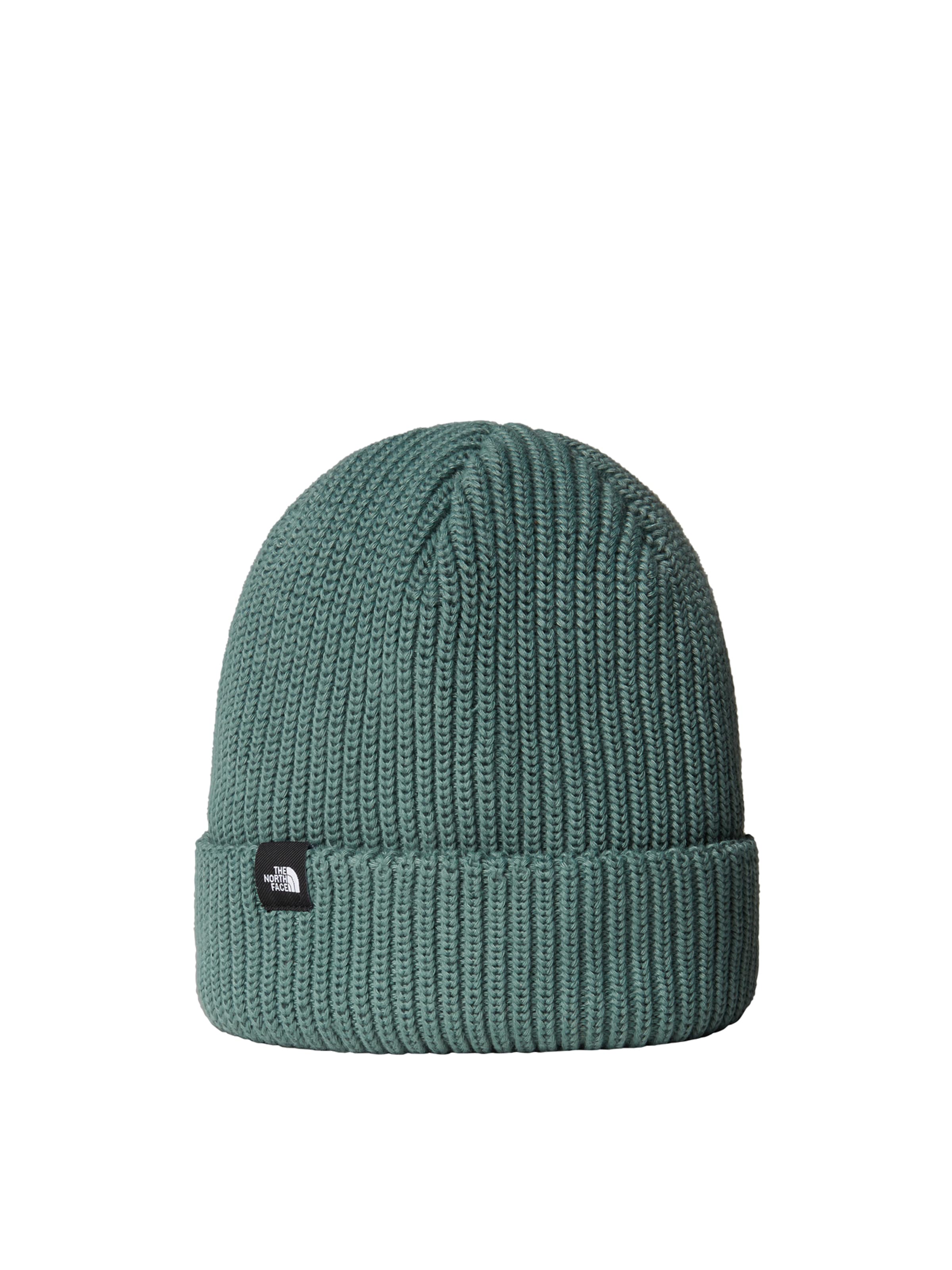 THE NORTH FACE Beanie 'Fisherman' in Green: front