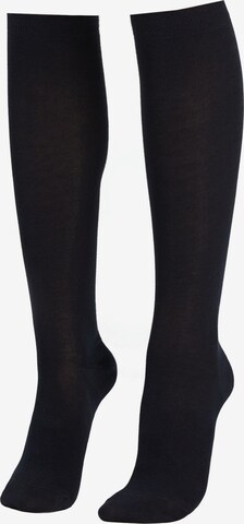 CALZEDONIA Knee High Socks in Blue: front