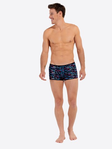 HOM Trunk ' Blackrock ' in Mischfarben