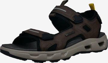 SALAMANDER Sandale in Braun: Vorderseite