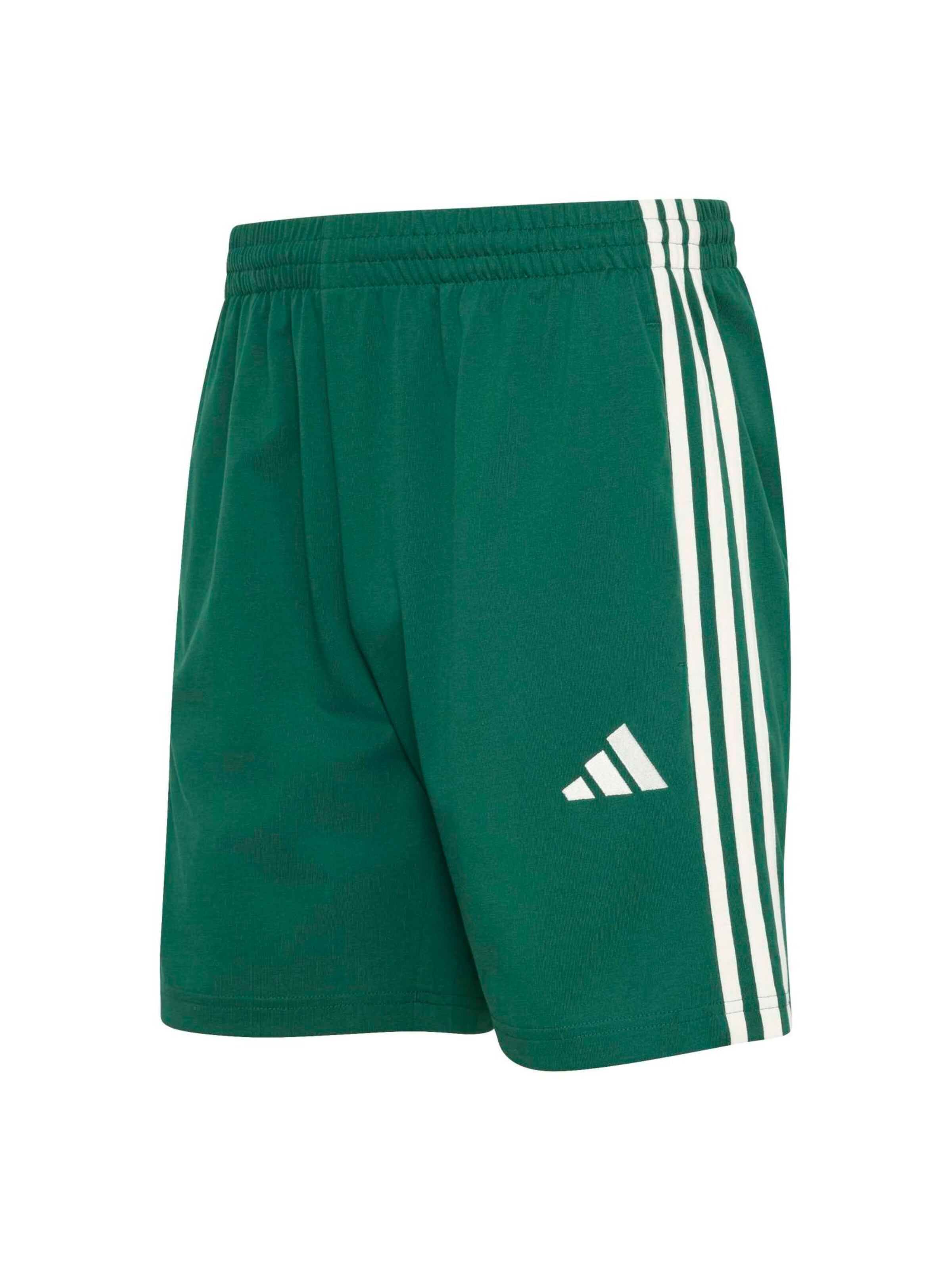 ADIDAS SPORTSWEAR - Calças de desporto 'Essentials' em verde: frente