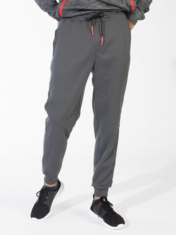 Spyder Tapered Workout Pants in Grey: front