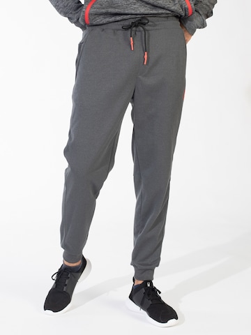 Effilé Pantalon de sport Spyder en gris : devant