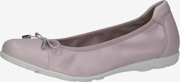 Ballerines CAPRICE en violet : devant