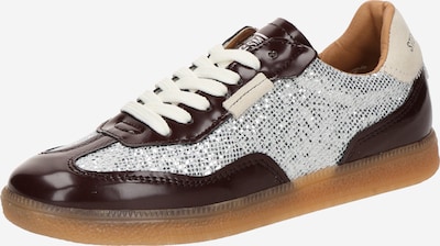 Sneaker low 'Emporia' STEVE MADDEN pe șampanie / roșu burgundy / argintiu, Vizualizare produs