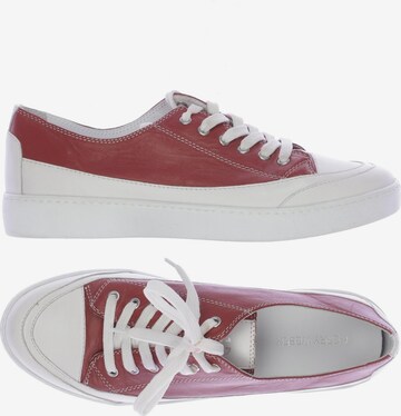 GERRY WEBER Sneakers & Trainers in 42 in Red: front