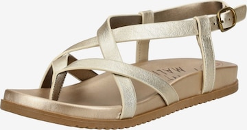 Infradito 'Camden' di Blowfish Malibu in oro: frontale