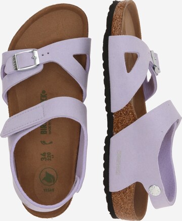 BIRKENSTOCK Sandals 'Colorado' in Purple