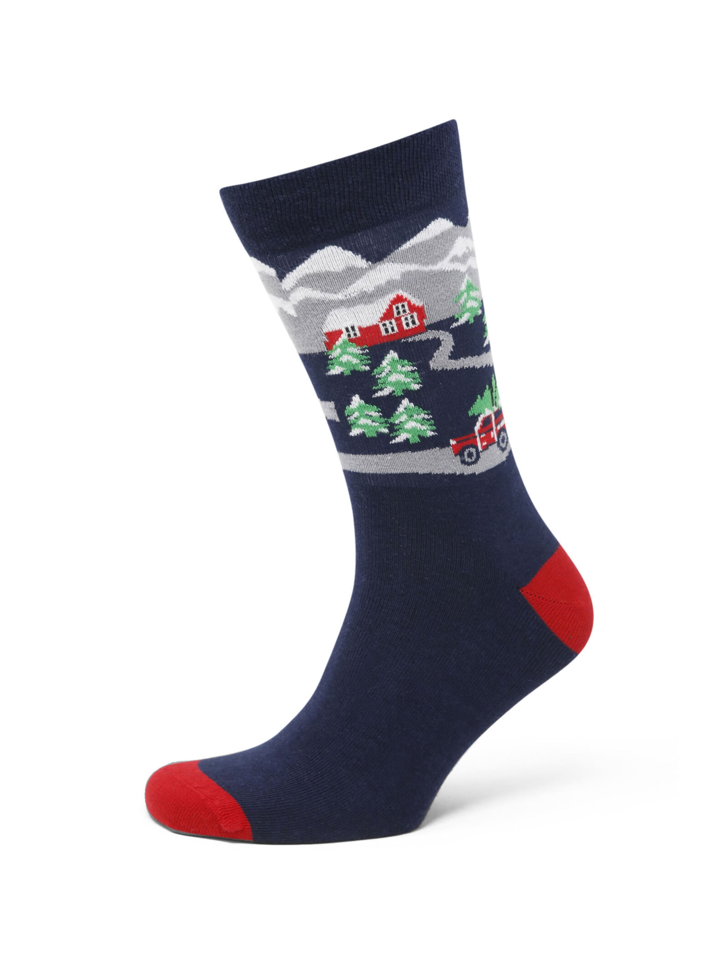 Real Guys Herrensocken Weihnachten in Mischfarben