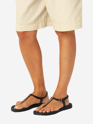 ILSE JACOBSEN T-bar sandals 'CHEERFUL10M' in Black: front