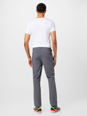 ICEPEAK Regular Outdoor Pants in Grey