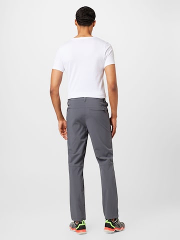 regular Pantaloni per outdoor di ICEPEAK in grigio