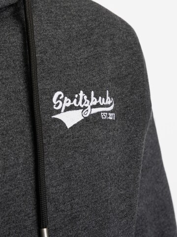 Sweat-shirt 'Thorben' SPITZBUB en gris