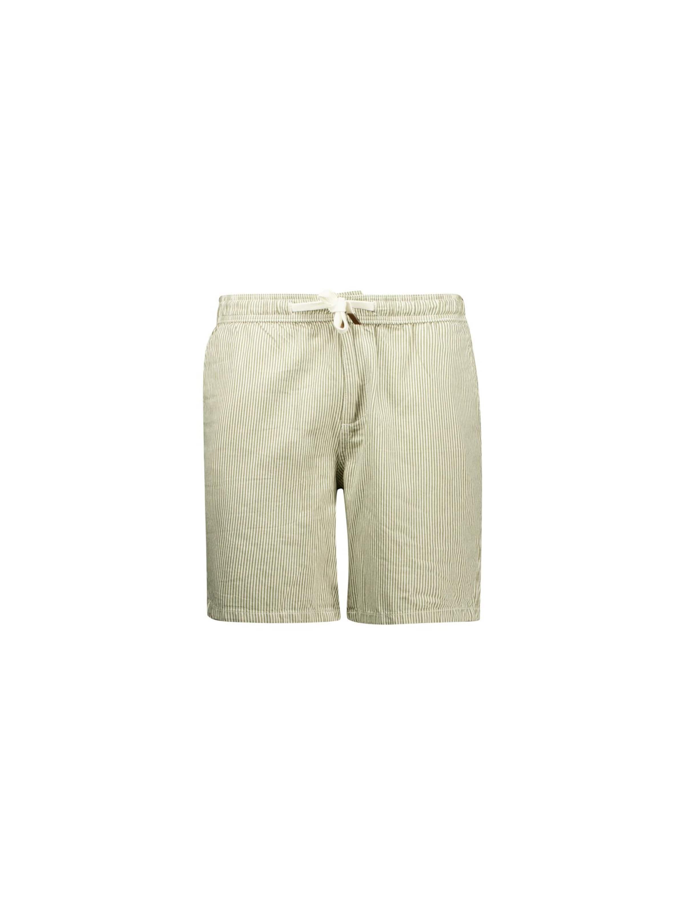 Pantalon 'Alonso' Deeluxe en vert : devant