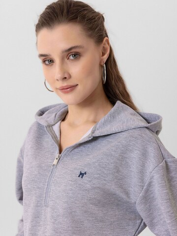 Williot Pullover 'Isabella' in Grau