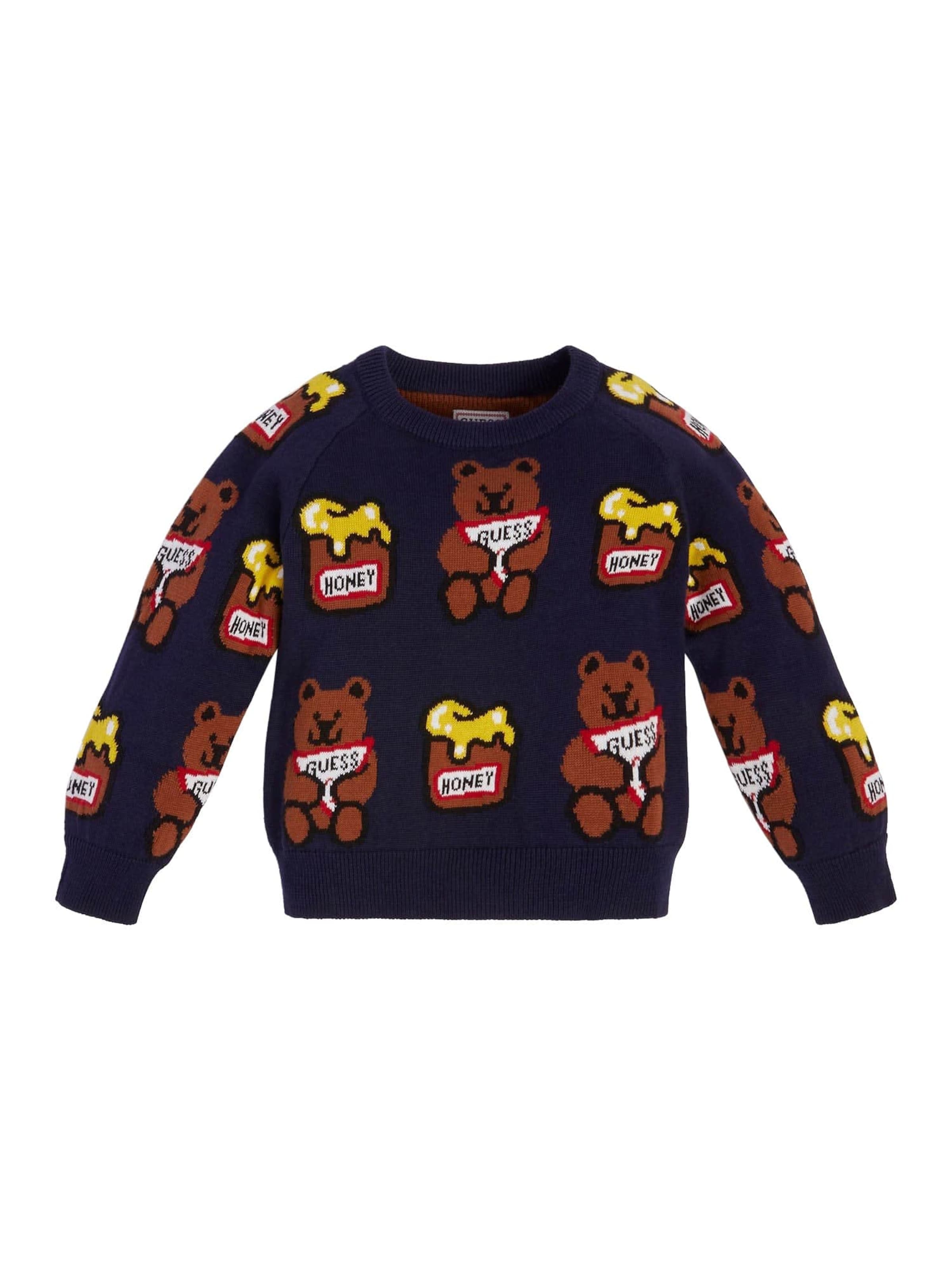 GUESS Pullover in Blau: Vorderseite