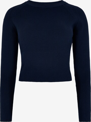 Apricot Sweater in Blue: front