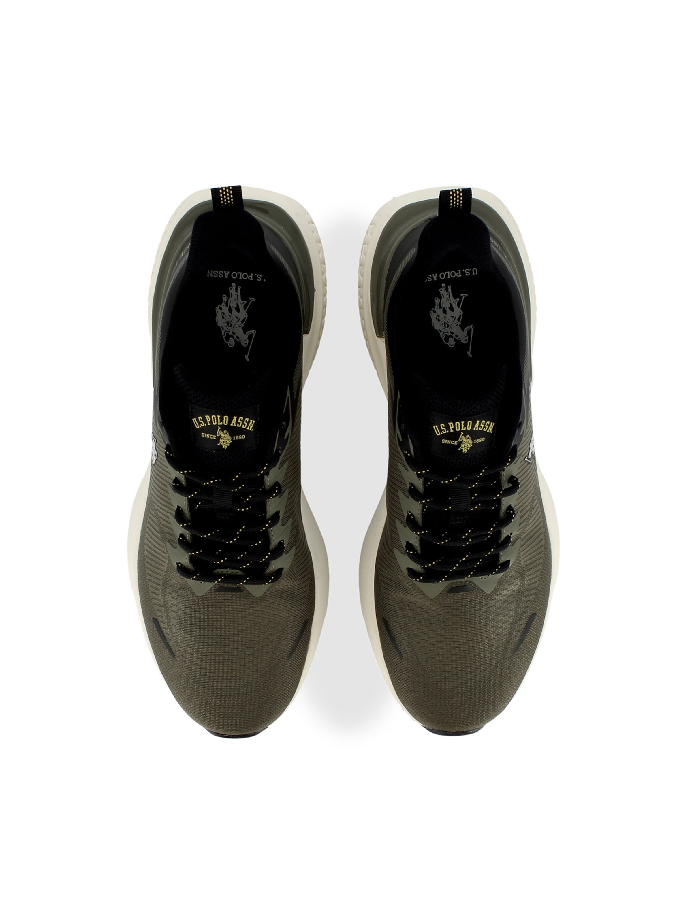 US POLO ASSN. Sneaker 'Spritz' in Grün