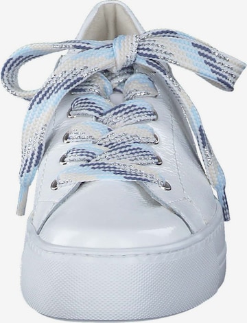 Paul Green Sneakers in White