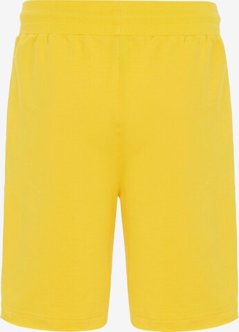 Redbridge Regular Pants 'Lincoln' in Yellow