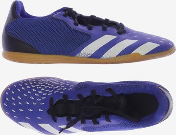 ADIDAS PERFORMANCE Sneakers & Trainers in 42 in Blue: front