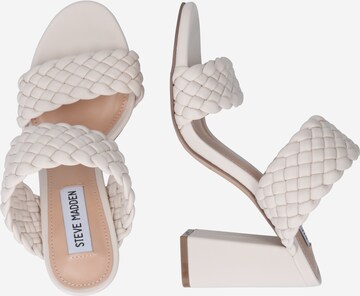 Sandales 'Tangle' STEVE MADDEN en beige