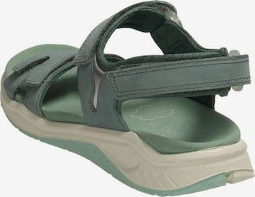 ECCO Sandals in Green