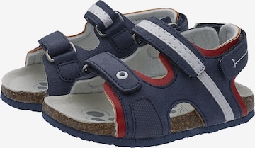 CHICCO Sandals & Slippers 'Floyd' in Blue