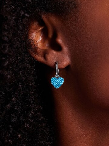 Boucles d'oreilles Lucardi en argent : devant