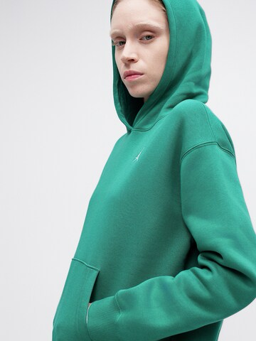 Jordan Sweatshirt 'BRKLN FLC' in Green
