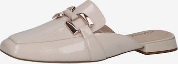CAPRICE Mules in Beige: front