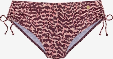 LASCANA Bikini bottom in Pink: front