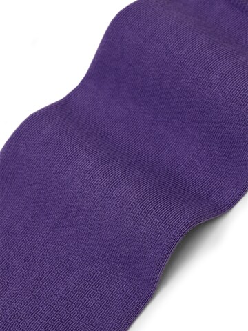 Von Jungfeld Socks in Purple