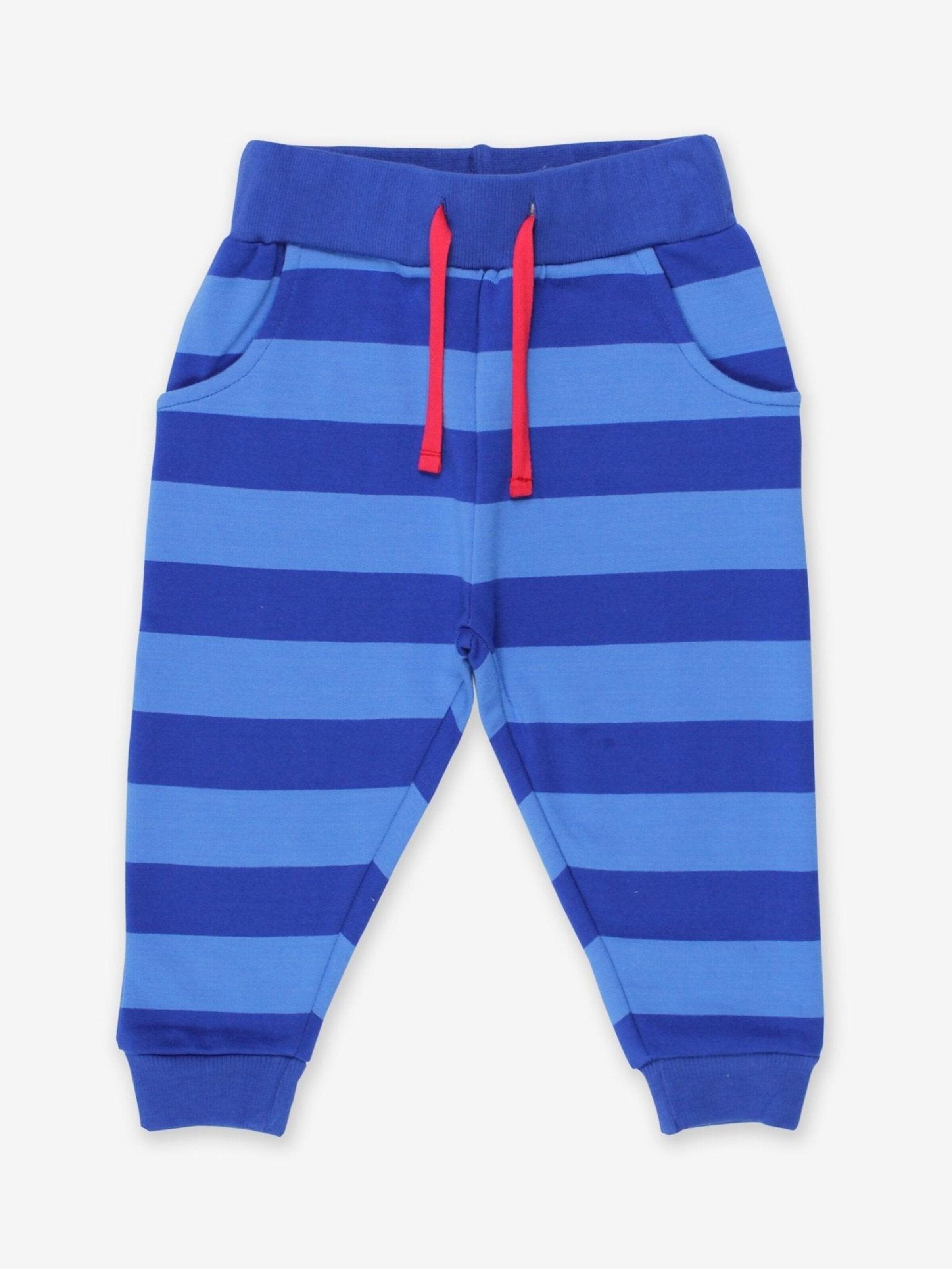 Toby Tiger Regular Pants in Blue: front