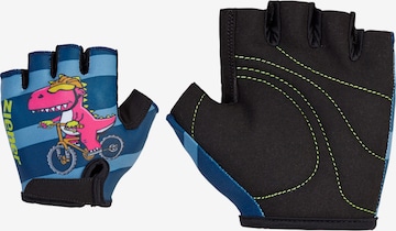 ZIENER Athletic Gloves 'CLOSI' in Blue: front