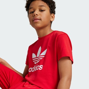 Maglietta 'Adicolor Trefoil' di ADIDAS ORIGINALS in rosso