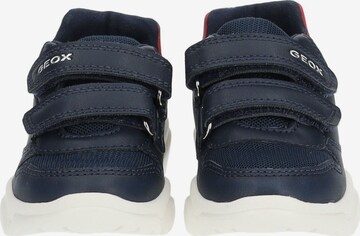 GEOX Sneakers in Blauw